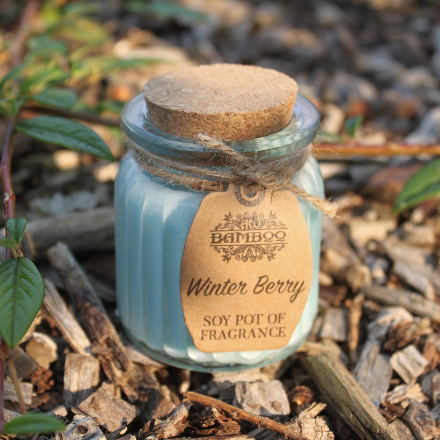 Ljus av sojavax i glasburk – Winter Berry