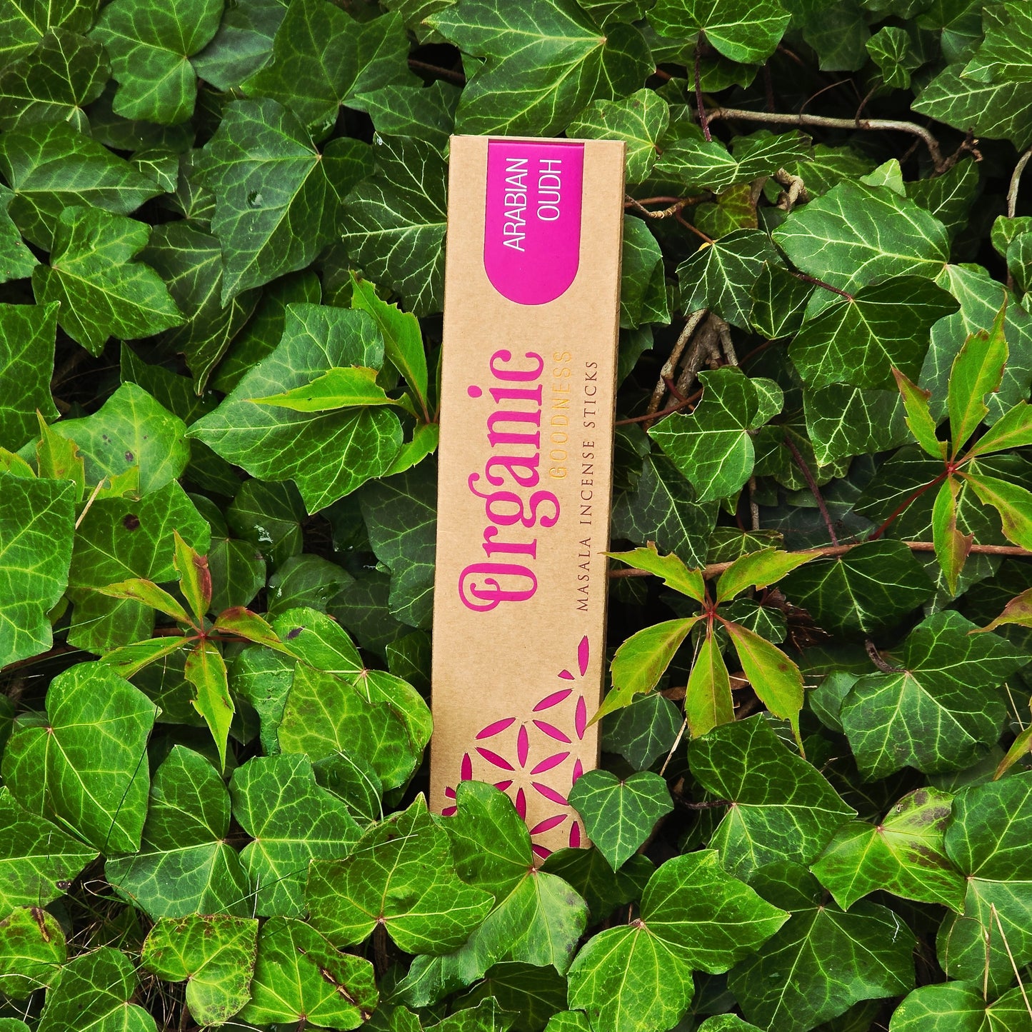 Rökelsepinnar Arabish Oudh "Song of India" Organic