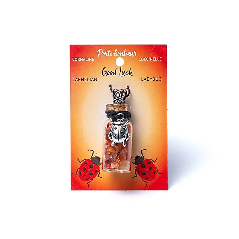 Kleine Geschenkflasche als Halsband mit Edelsteinen - verschiedene Varianten