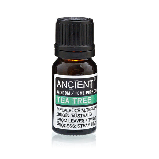 Ancient Eterisk olja "Teträd" 10ml