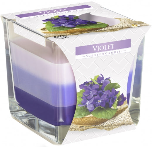 Mehrfarbige Kerzen in Glasgefäßen Violett