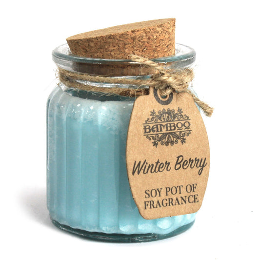 Ljus av sojavax i glasburk – Winter Berry