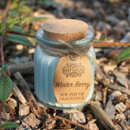 Ljus av sojavax i glasburk – Winter Berry