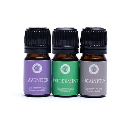 Fragrance Oil Set - Song of India