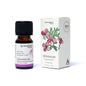 Aromafume Ätherisches Öl