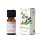 Aromafume Ätherisches Öl